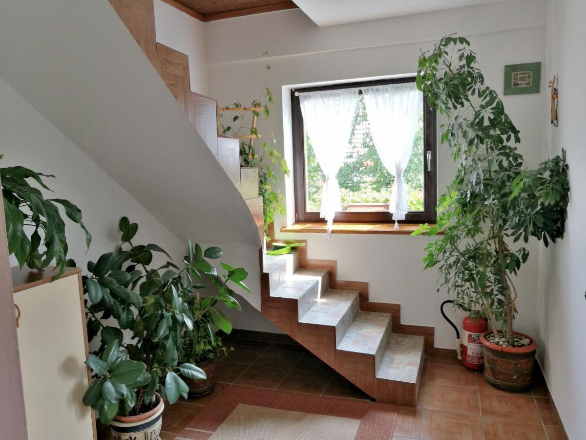 Villa House Marica Poljanak Exterior foto